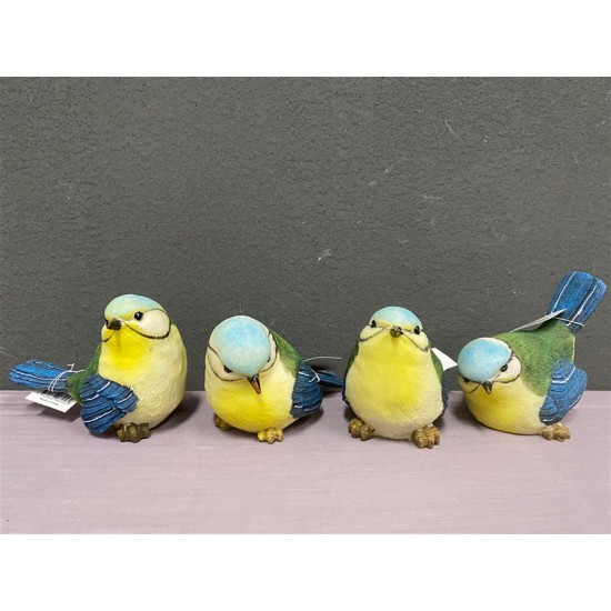 ***Blue & yellow birds (L)