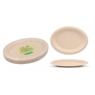 ECO Biodegradable Catering Plates - Oval 26.3CM X 19.9CM-20PK